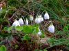 DSCF0674.JPG